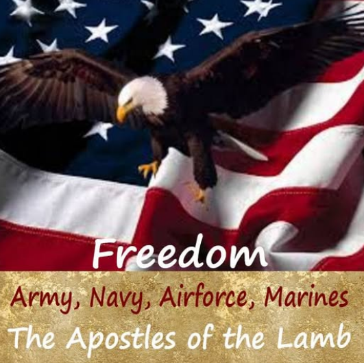 Patriotic Eagle and Freedom